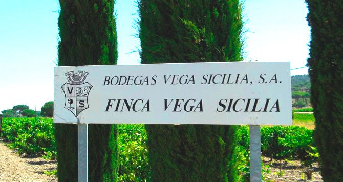 UGT FICA Valladolid gana por mayoría absoluta las elecciones en Bodegas Vega Sicilia